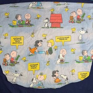 Vintage Peanuts Snoopy Charlie Brown Twin Fitted Sheet Tastemaker Read